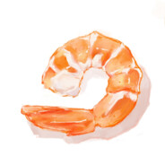 shrimp0d0