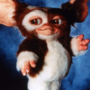 Gizmo