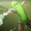 Pickle Rick