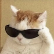 三文鱼可以放生吗