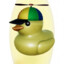 quackacello