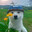 TOSKA
