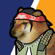 盗亦有道，导了又导