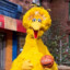 Bigbird
