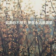 闪瞎你的眼珠子