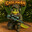 Chalaw4n