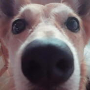 Bien V1olad1t0 t fuiste jiji :3