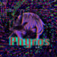 Phyros