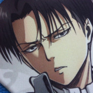 Levi ツ
