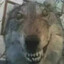 Weed Hound