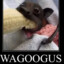 WAGOOGUS