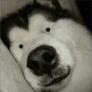 小寝（BFV S5专属）