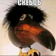 Данил Колбасенко