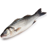 Branzino (fish)