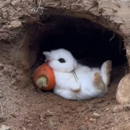 鼓励队友团结友爱