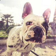 我是小雨咋咋咋