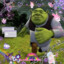 Shrek GAMING