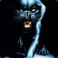 werebear_72