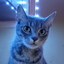 Abysswalker