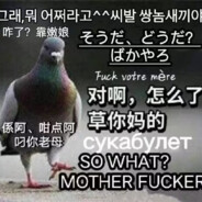 开门！我是钟继伟！