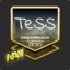 ✪TeSS