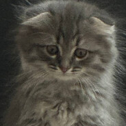 ♠•maneraツ♠ - steam id 76561198802396592