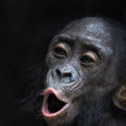 解封找Q+3759897641