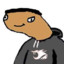ali xyz