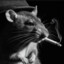 macaquinho