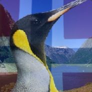 Sir Nils Olav