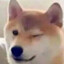 Shibo