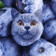 blueberry