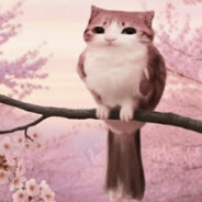 ♡ meow ♡ ᓚ₍⑅^..^₎