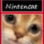 Nintencat