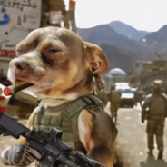 运输大队长-常凯申