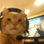 badCat