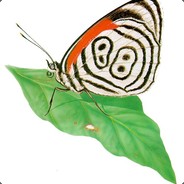 Schmetterling88