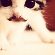 труп камира