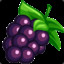 blackberry