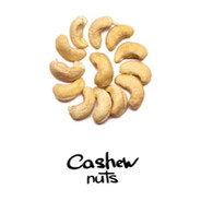 CashewEater