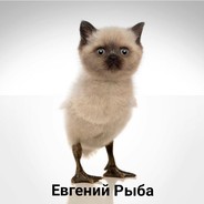 Евгений Рыба