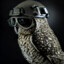 Strategic_Owl