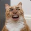 ~Кот Федя~