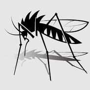 Killer_mosquito1021