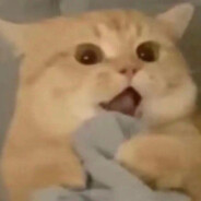 与我劫后余生.3