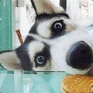 外星人高端玩家联盟