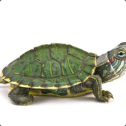 𝓣𝓾𝓻𝓽𝓵𝓮