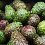 agreen_lemon