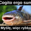 F*ckin_Ponny