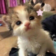 伤害男人的事我全做了